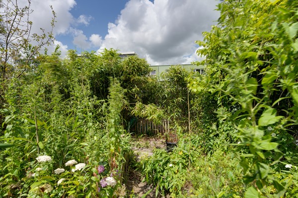 Medium property photo - Dwergvinvisstraat 79, 1035 HN Amsterdam